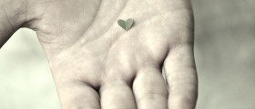How Many Transplanted Hearts Should One Person Receive?