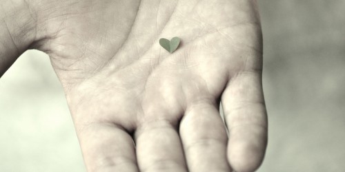 How Many Transplanted Hearts Should One Person Receive?