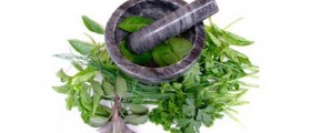 Herbal Treatment for Gastrointestinal Disorders