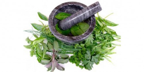 Herbal Treatment for Gastrointestinal Disorders