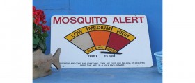 Ten Tips For Avoiding And Treating Mosquito Bites