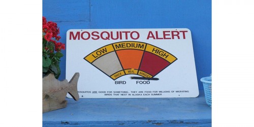 Ten Tips For Avoiding And Treating Mosquito Bites