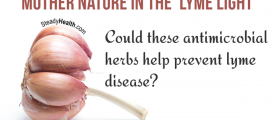 Mother Nature In the 'Lyme Light': Could These Antimicrobial Herbs Help Prevent Lyme Disease?