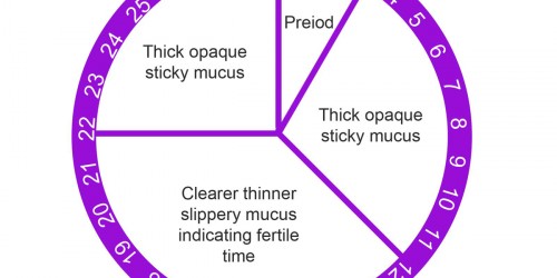 Trying to Conceive? Best Tips for Getting Pregnant