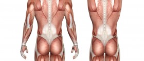 Muscular dystrophy