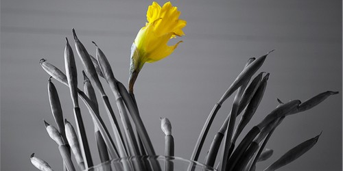 Narcissistic Personality Disorder vs Antisocial Personality Disorder: What's The Difference?