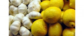 The Most Powerful Natural Antibiotics