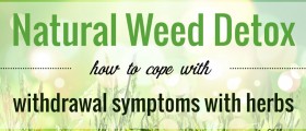 Natural Weed Detox: How To Cope with Marijuana Withdrawal Symptoms with Herbs