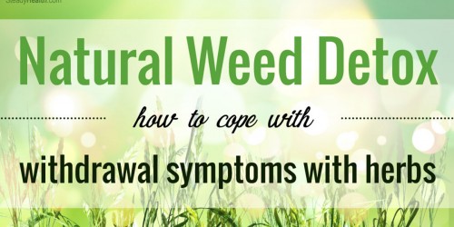 Natural Weed Detox: How To Cope with Marijuana Withdrawal Symptoms with Herbs