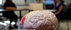 Best Neurology Medical Apps for Neurologists and Students