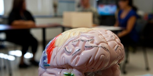 Best Neurology Medical Apps for Neurologists and Students