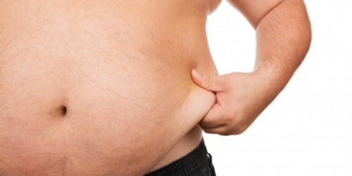 Best meal plan for overweight persons?