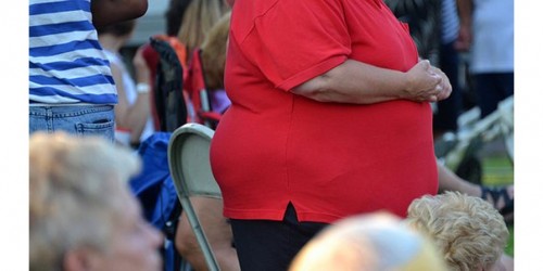 Hunger Hormone And Obesity