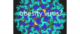 Can Obesity Spread Like a Virus?
