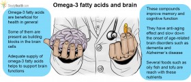 Omega-3 Fatty Acids And Their Effect On Brain Function