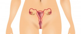 Premature ovarian failure