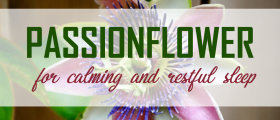 Passionflower for Calming and Restful Sleep