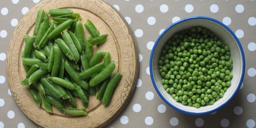 Pea Protein: The Non-Dairy, Gluten-Free, Plant-Based Muscle Maker