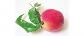 Peaches: Promote Growth, Vision Health, Reproductive System and Boost Immunity