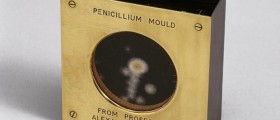 Penicillin Allergy: Are You Allergic to Penicillin?