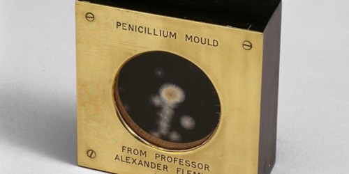 Penicillin Allergy: Are You Allergic to Penicillin?