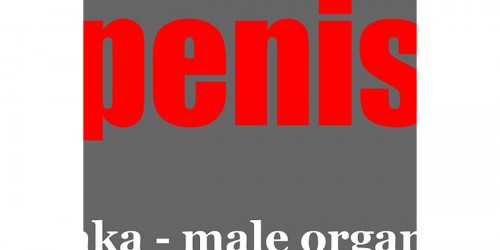 Size Does Matter, At Least When It Comes to Male Fertility