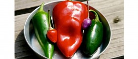 Ten Veggies You Should Be Eating This Summer