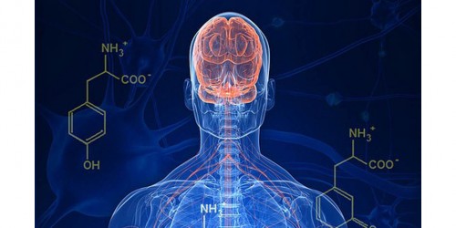A Personal Perspective On Preventing The Progression Of Parkinson's Disease