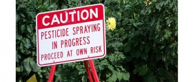 US Farmers And Food Companies Are Taking Legal Action Against Dangerous Crop Chemicals