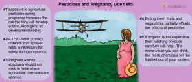 Evidence Mounts That Pesticides Cause Autism