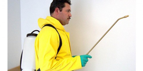 Food Allergies Linked To Pesticides In Tap Water