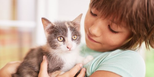 Терапия домашних животных и аутизм: как животные могут помочь аутичным людям процветать?