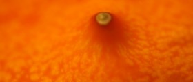 Why Are Cyst-Popping Videos So Popular?