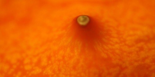 Why Are Cyst-Popping Videos So Popular?