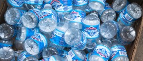 BPA: Pollutant Found Around the World Causes Damage in the Womb
