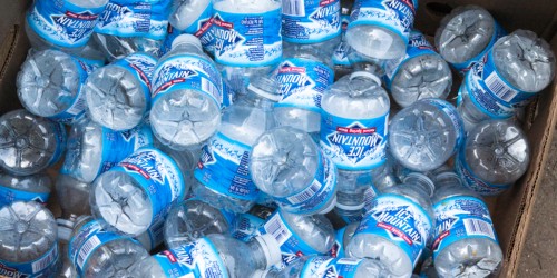 BPA: Pollutant Found Around the World Causes Damage in the Womb