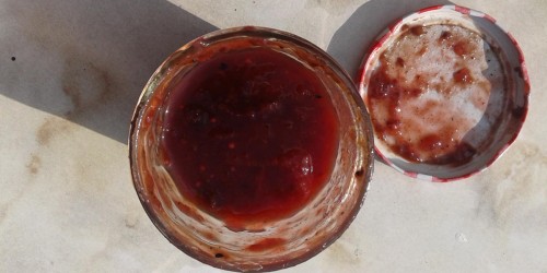 Thought You Couldn't Make Your Own Indian Chutney? You Were Wrong!