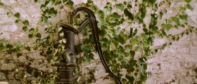 Treatment for Poison Ivy Rash