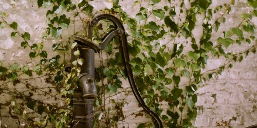 Treatment for Poison Ivy Rash