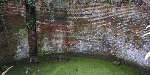 Environmental Poison May Cause Alzheimer's, Other Forms Of Dementia