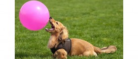 Do Affirmations Really Help?