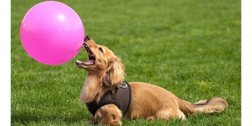 Do Affirmations Really Help?