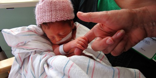 The Battle Of Premature Birth: How Does The Environment Of The NICU ...