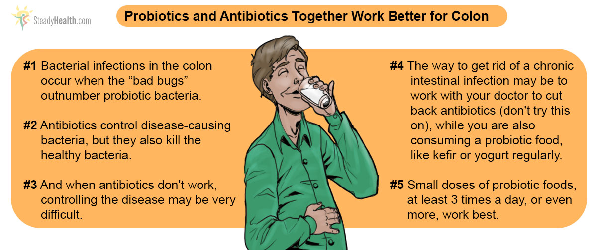 probiotics-plus-antibiotics-for-chronic-intestinal-infection