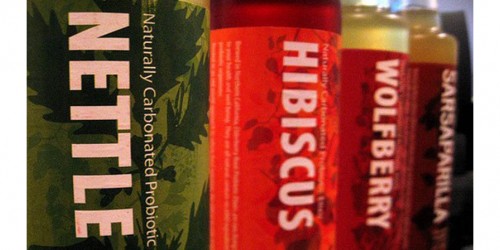 Do Probiotics During Pregnancy Really Lower Allergy And Asthma Risk In Newborns?