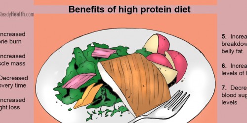 The Benefits Of A High Protein Low Carb Diet