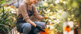 A Beginner's Guide to Health and Safety while Gardening