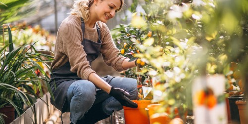 Recovering Lost DIY Skills: Will The COVID-19 Pandemic Usher In A New Era Of Self-Sufficiency?