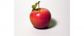 What Are The Best Appetite Suppressants?