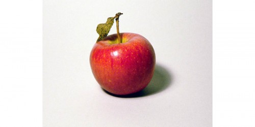 What Are The Best Appetite Suppressants?